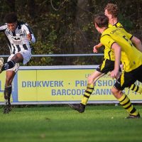 Bekerprogramma selectie