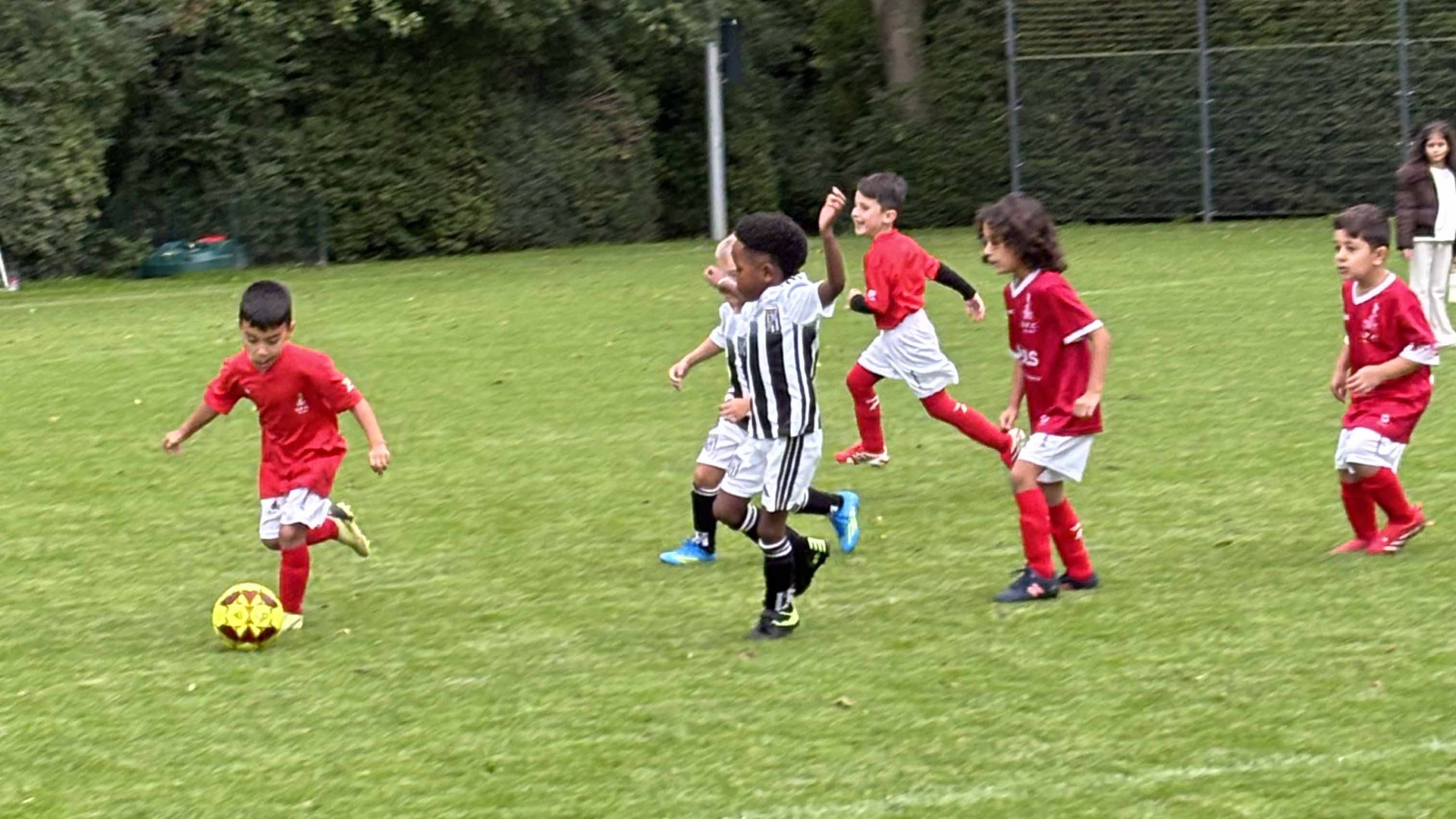Videosamenvatting Dubbeldam JO7-2, 19 sept. 2026