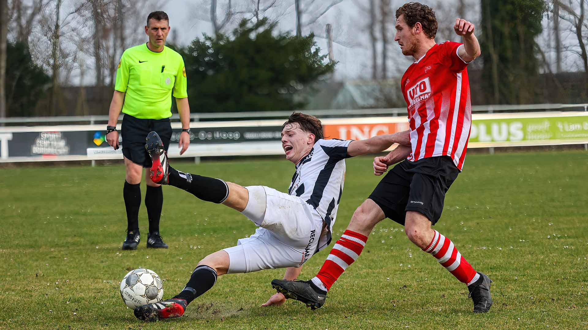 Foto's Dubbeldam - Zwaluwe
